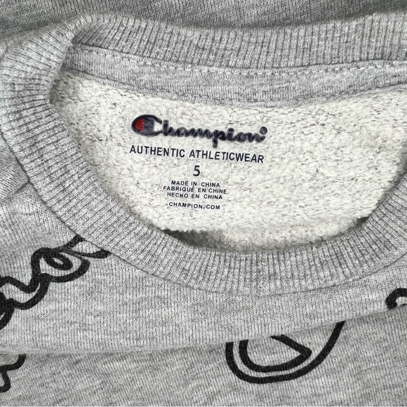 Champion Boys Size 5 Gray Pullover Sweater Champion Gray sweater - Picture 3 of 8